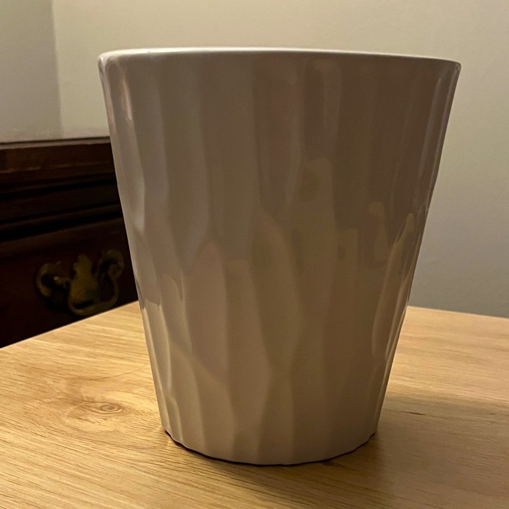 Succulent Ceramic Pot Max and Miles White